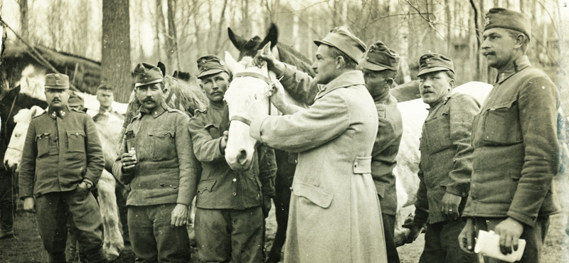 Így nyomorít meg a háborús propaganda