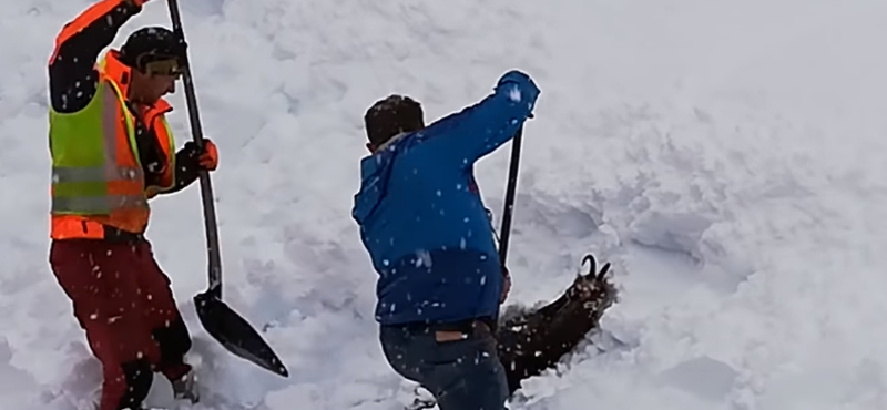 Betemetett zergét ástak ki a hóból osztrák vasutasok – videó