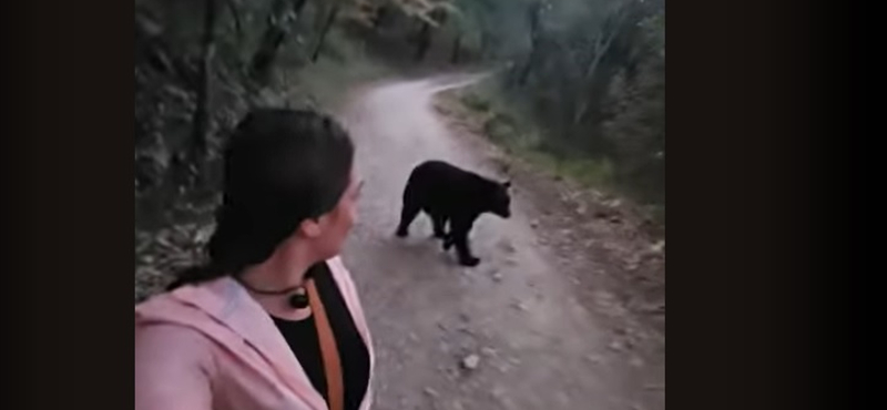 „Itt vagyok ezzel a medvével” – egy nő videóra vette az életveszélyes találkozást