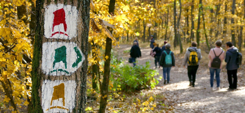 Másfél hónapra le akarta zárni a Kéktúra egyik útvonalát egy vadász