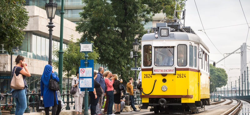 Már a kutyáknak is lehet bérletet venni a BudapestGO-val