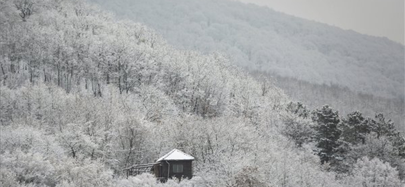 Mindennap esni fog valami a jövő héten