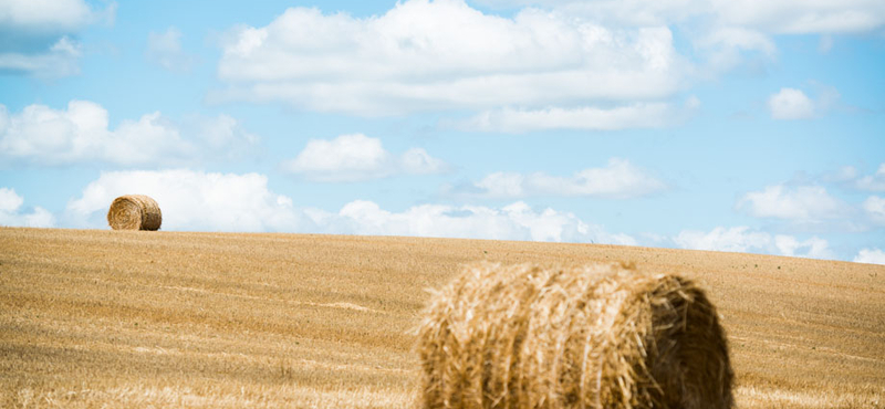 Elveszik a nagybirtokosoktól az agrártámogatást