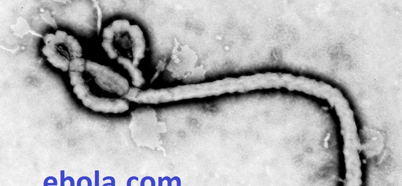 A félelemből profitálnak: ennyit kérnek az ebola.com doménért