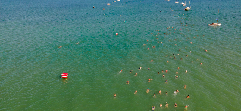 Májustól miniszteri biztos óvja a Balaton élővilágát