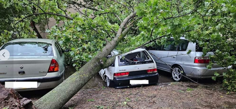 Szombaton napközben sem maradt vihar nélkül az ország, Hódmezővásárhelyet máris csúnyán megtépázta