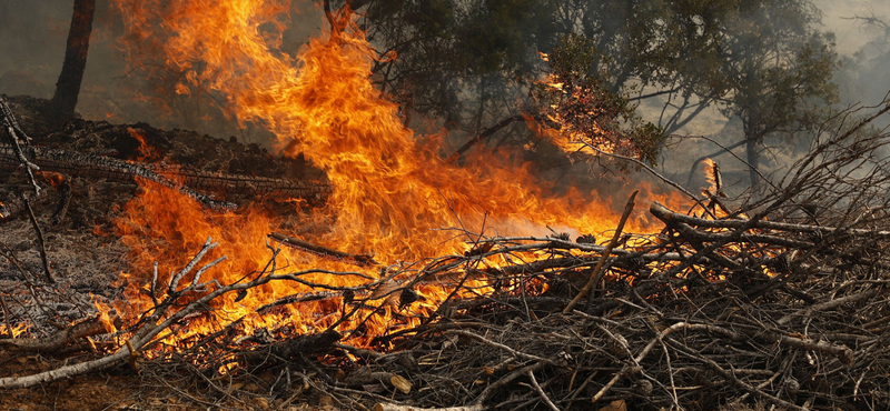Spanyolországban napok óta küzdenek a lángokkal – képek