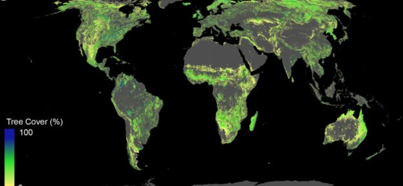 Megnézték a tudósok, hova lehetne még fákat ültetni, és nagyon megörültek az eredménynek