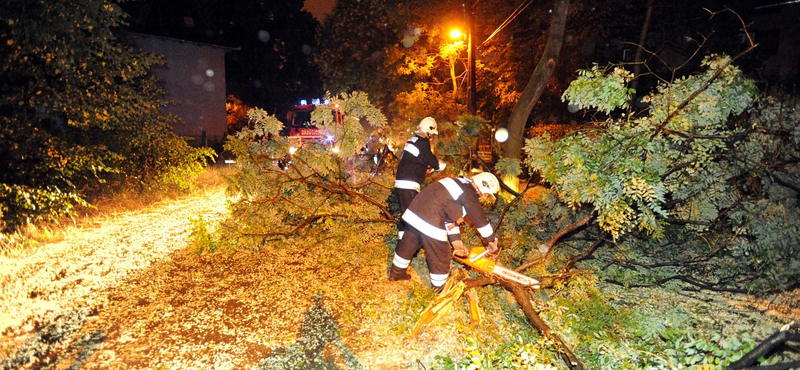 Vihar: fák dőltek a sínekre, késnek a vonatok