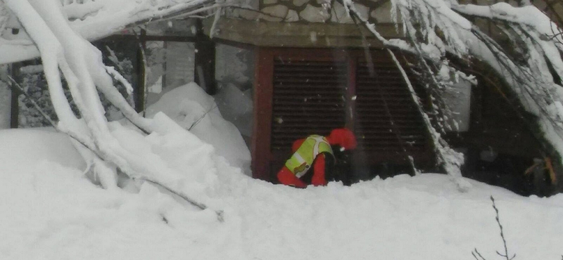 Még több eltűntet keresnek az olaszországi lavina után