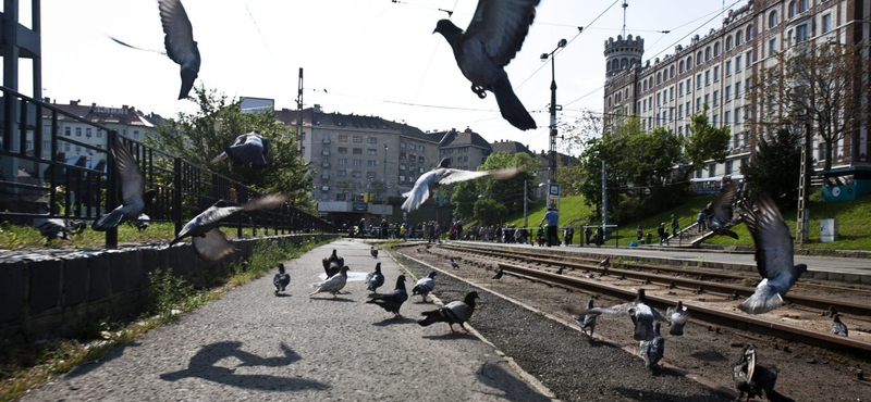 Tarlósék ma dönthetnek a volt Moszkva térről