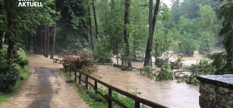 Mégsem szabadultak el oroszlánok és tigrisek a lünebachi állatkertből