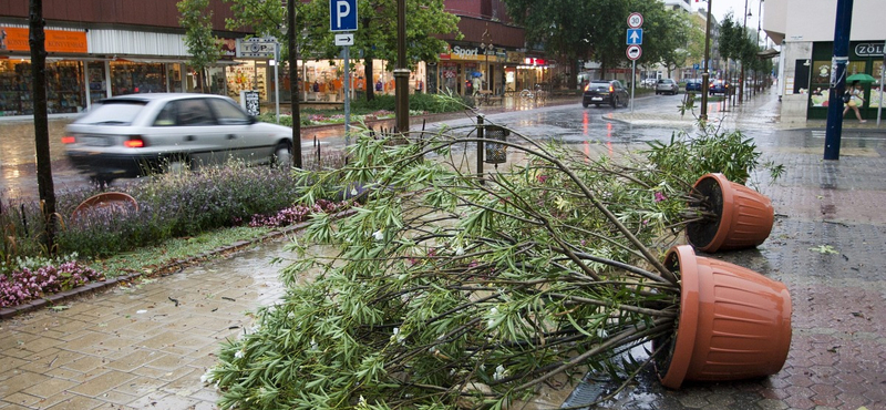 Erdőtűz, orkánerejű szél és kidőlt fák a zalai viharban