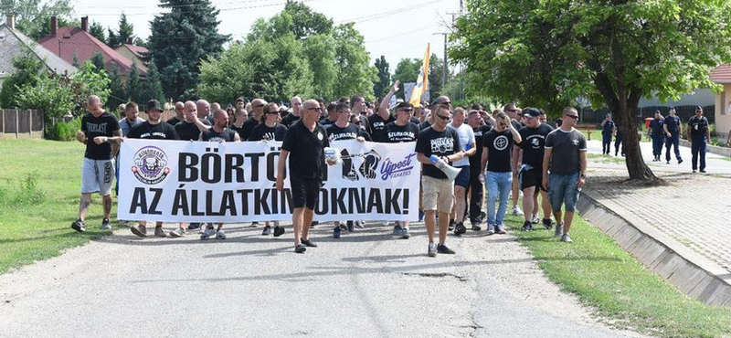 Fordulat a felismerhetetlenségig megkínzott kutya ügyében?