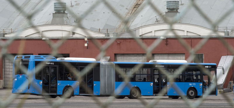 Főállású pedagógus is buszvezető a BKV-nál