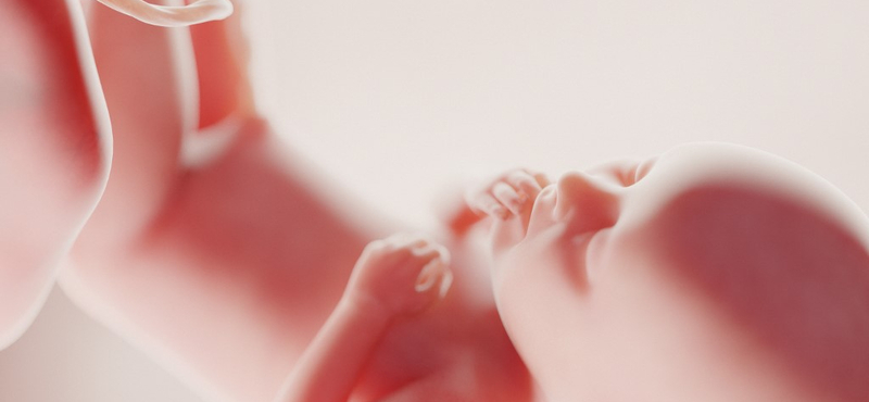 Méh nélkül született, ma már gyereket vár a méhtranszplantáción átesett nő