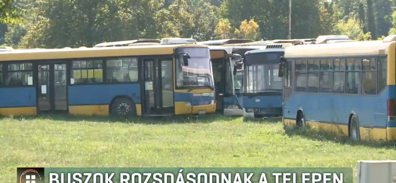 Súlyosan szennyezheti a környezetet a pécsi telephelyen vesztegelő 100 busz