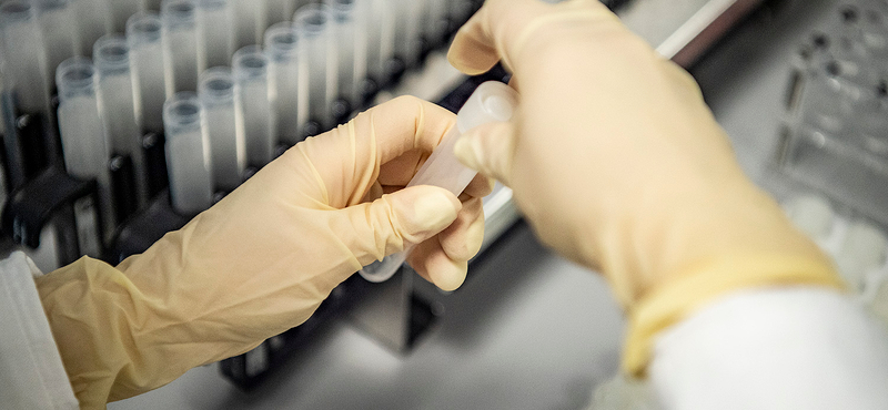 Van cég, amely még mindig több mint 36 ezer forintért végez PCR-tesztet