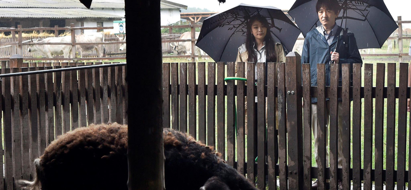 Titokban ment el a japán herceg Mészáros Lőrinc sertéstelepére – videó