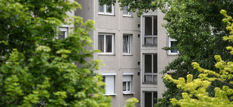 Újra felkapottak a panelek a fővárosban és a megyeszékhelyeken is