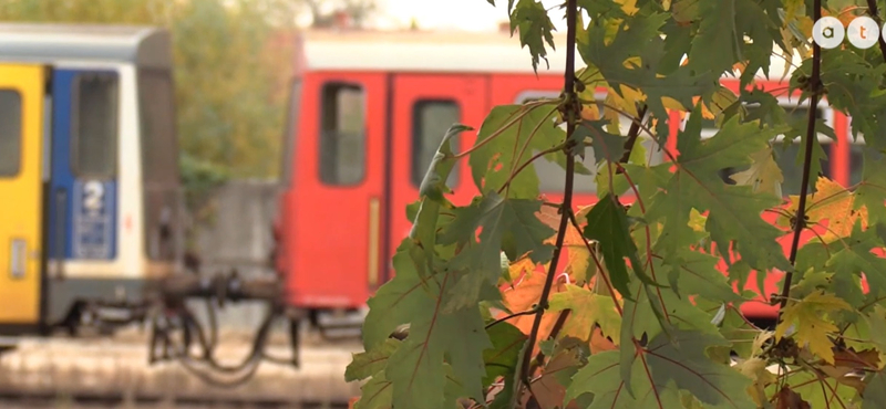 Lehulló falevelek miatt késnek a vonatok a váci vonalon