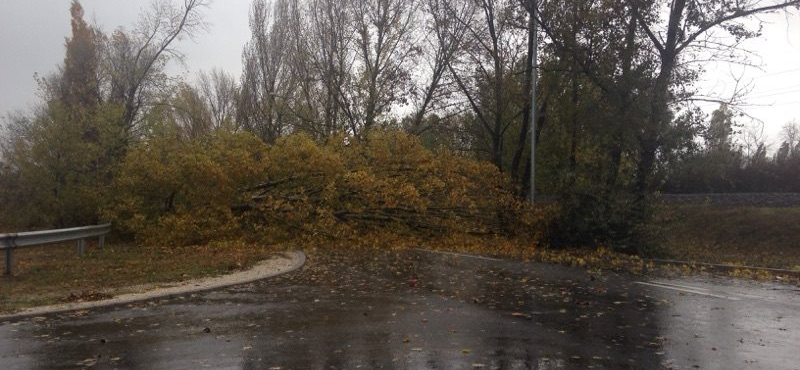 Már rendben járnak a vonatok a vihar után