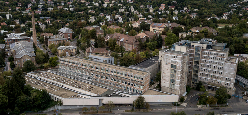 Klímapara: a Semmelweis dolgozói levélben cáfolják az intézmény hivatalos válaszát