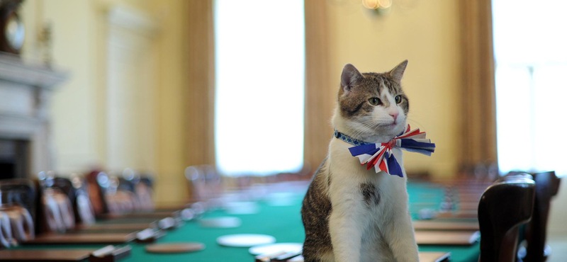 Nem találják ki, egyedül ki állt ki a Downing Street 10. lakói közül