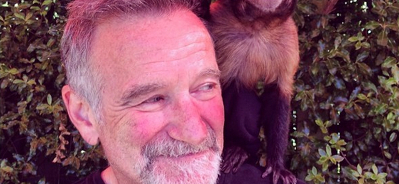 Ez volt Robin Williams utolsó fotója magáról