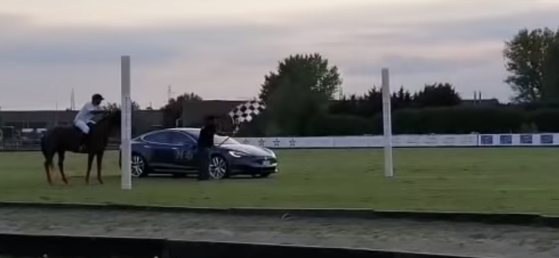 Videó: ilyen egy több száz lóerős Tesla és egy ló versenye