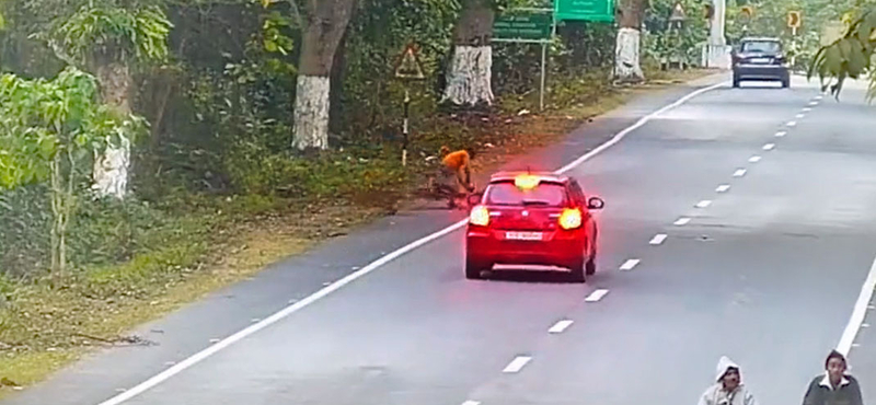 Leopárd ugrott egy biciklisre Indiában – videó