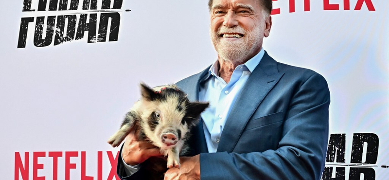 Arnold Schwarzenegger egy törpemalaccal ment premierre