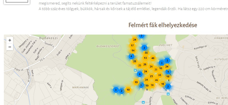 Treespotting a Normafánál: ilyen térképet még kevesen láthattak