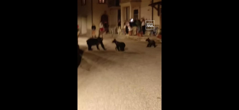 Videó: A helyi népek mellett korzózott egy medvecsalád egy abruzzói városkában