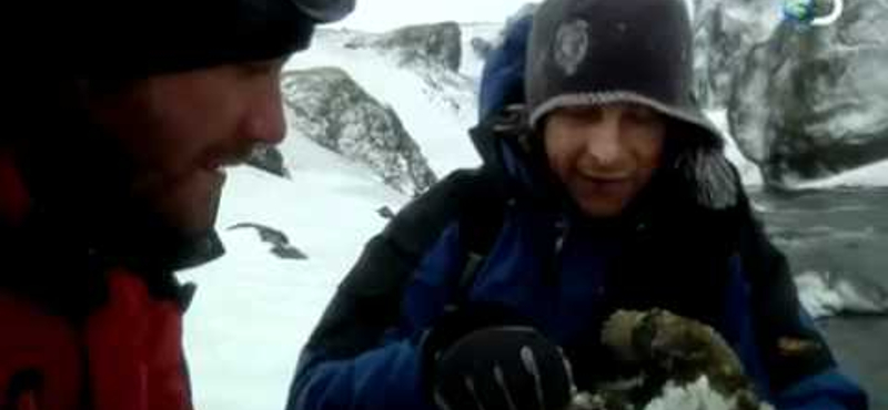 Most megtanulhatja Bear Grylls összes trükkjét