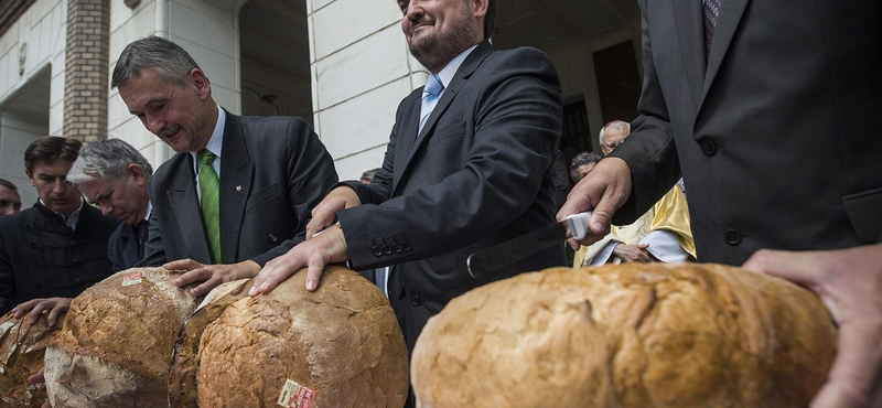 Művelődési házat igazgat a fideszes volt polgármester