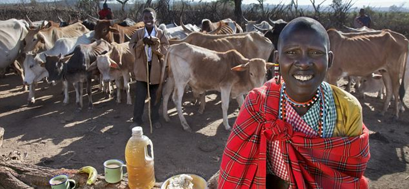 Egyre jobban szeretik a turisták Kenyát