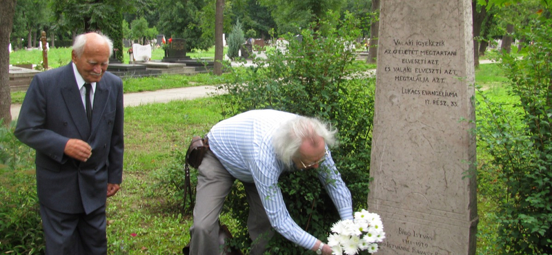 A Göncz Árpád utca a Bibó István térre vezet Budaörsön