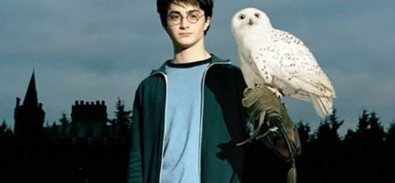 Találtak egy ritka jó állapotú, első kiadású Harry Potter könyvet, 34 millióért adták el