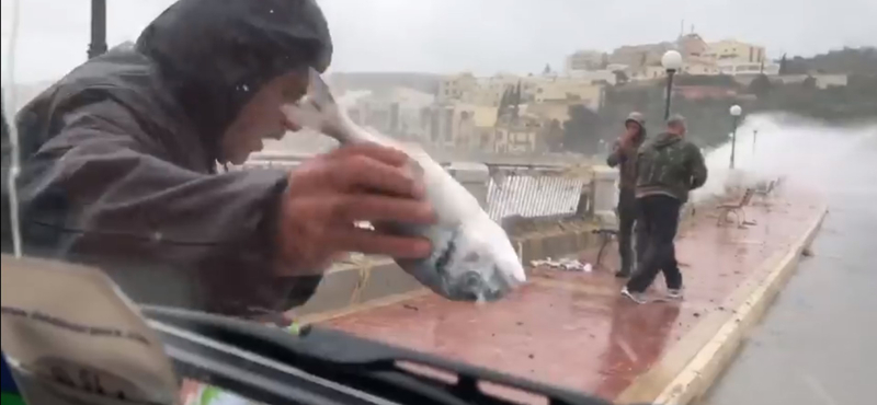 Videó: A partra fújta a halakat a vihar Máltán