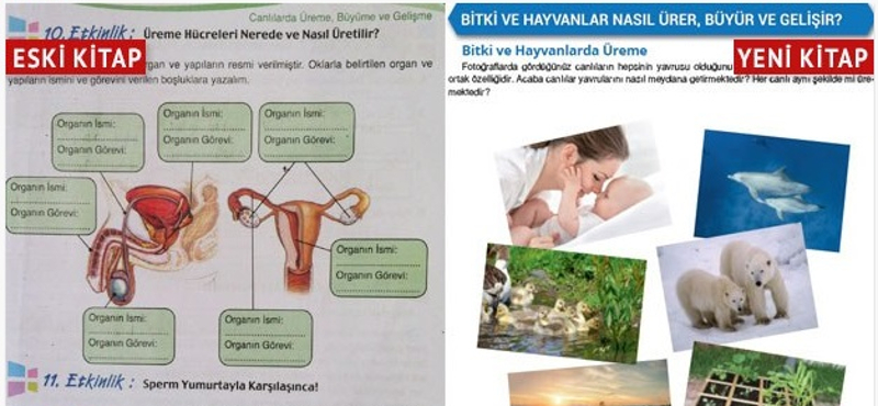 Kacsákra cseréltette a nemi szerveket egy bioszkönyvben a török kormány