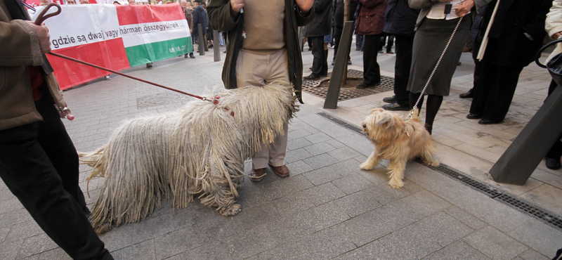 Március 15. megmutatta volna, hogy Orbán a legkisebb rossz?