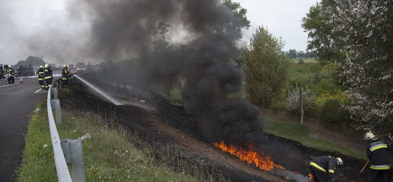 Nem károsult a természet az M7-esen történt brutális baleset után