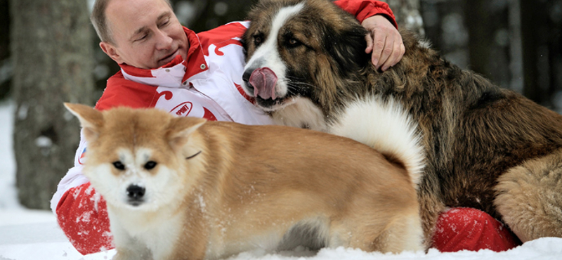 Másodjára már nem kellett Putyinnak a japánok kutyája