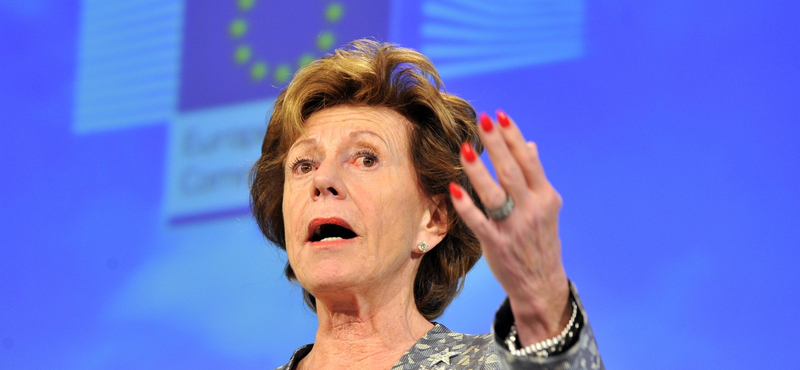 "Elszörnyedtem" - Neelie Kroes keményen kiosztja Bayer Zsoltot