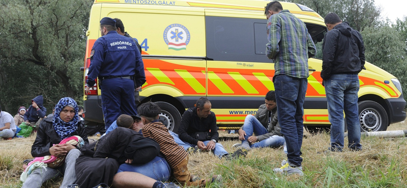 Kiraboltak négy menekültet Szegeden