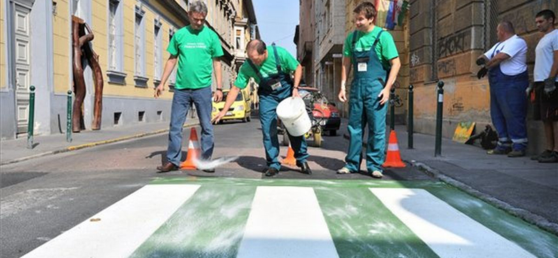 Zöld-fehérre festik a zebrákat a Ferencvárosban 