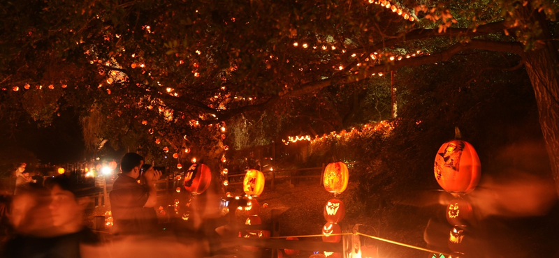 Hét nőt fogdosott meg egy jordán férfi a halloweeni felvonuláson Essenben