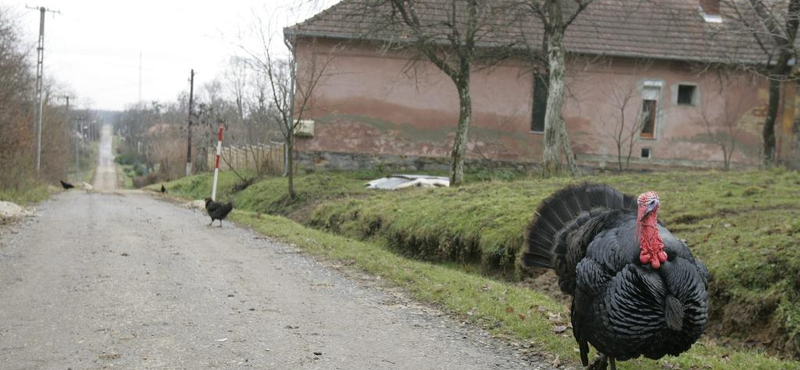 Tudta, hogy van egy zsákfalu, amely város?