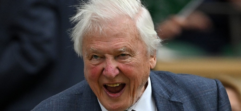 A 98 éves Sir David Attenborough kilátogatott Wimbledonba, és mindenki felállva tapsolt